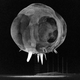 Illustration for article titled America's Secret Airline Flies Non-Stop To Area 51